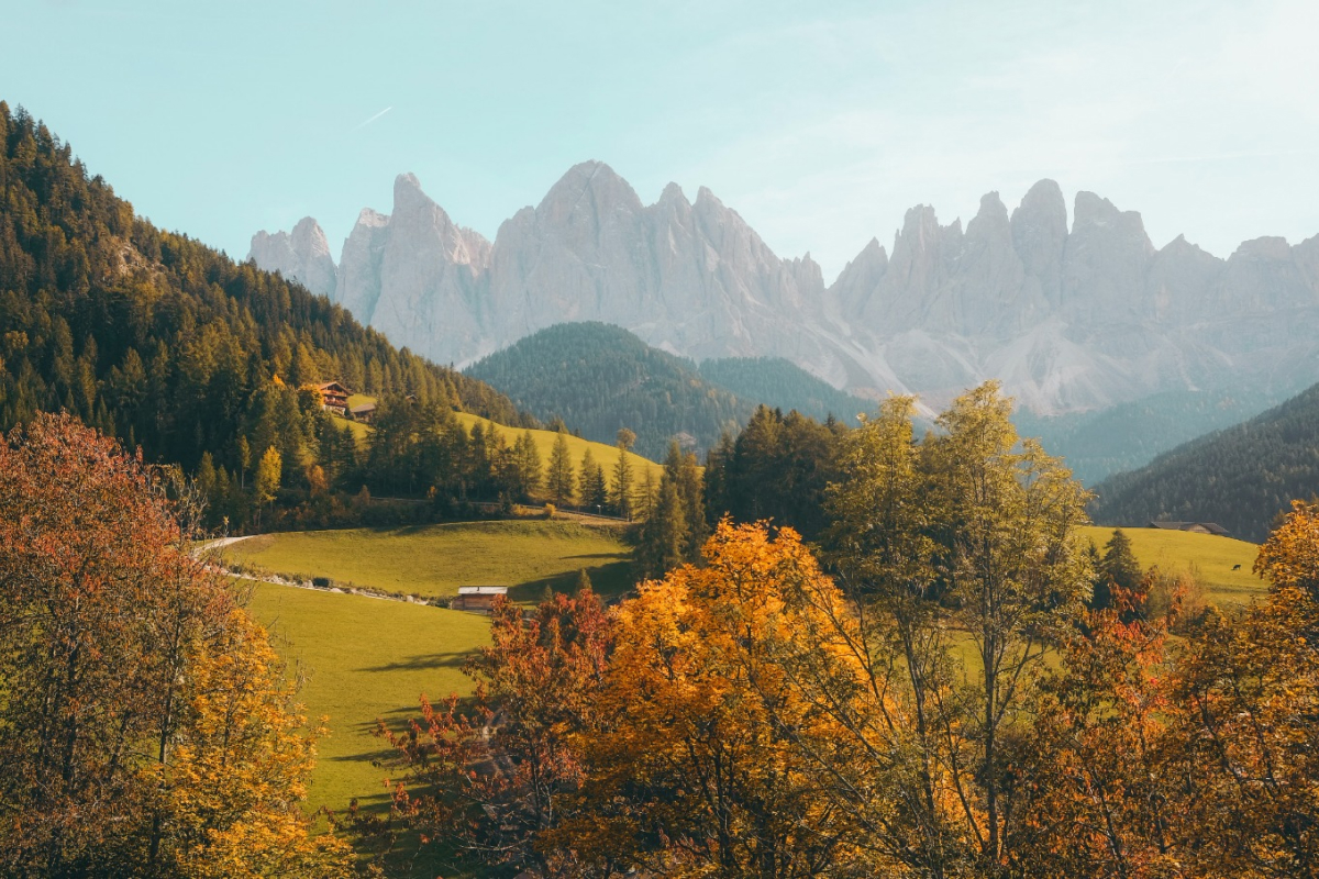 About Natures 01